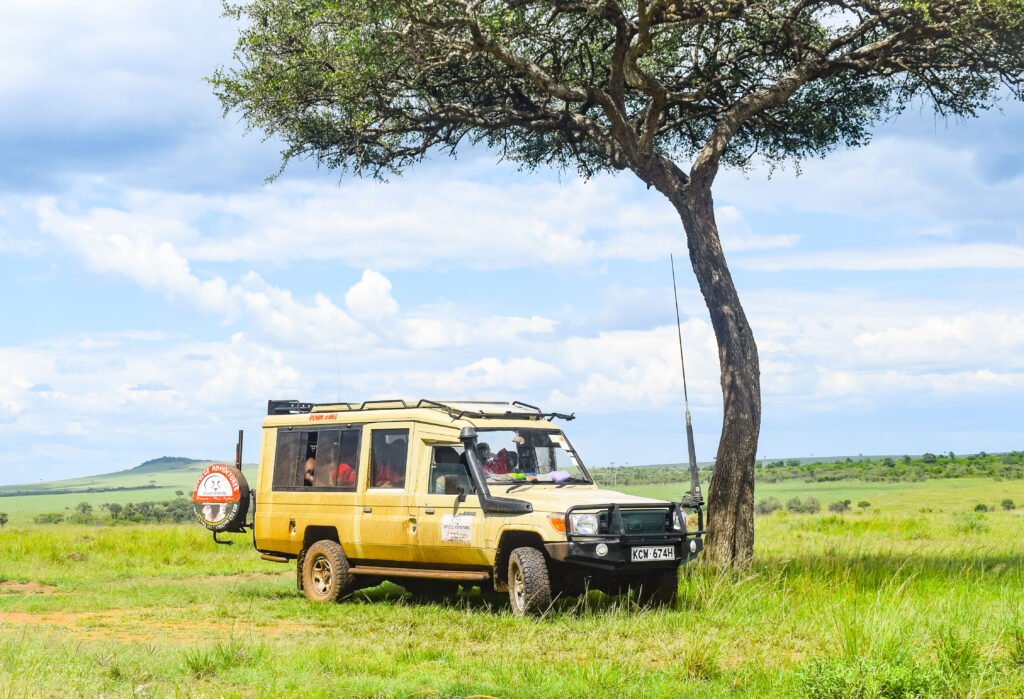 Masai Mara Game Drive Picnic Lunch