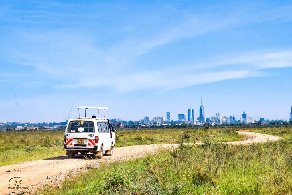 game drive at Nairobi National Park