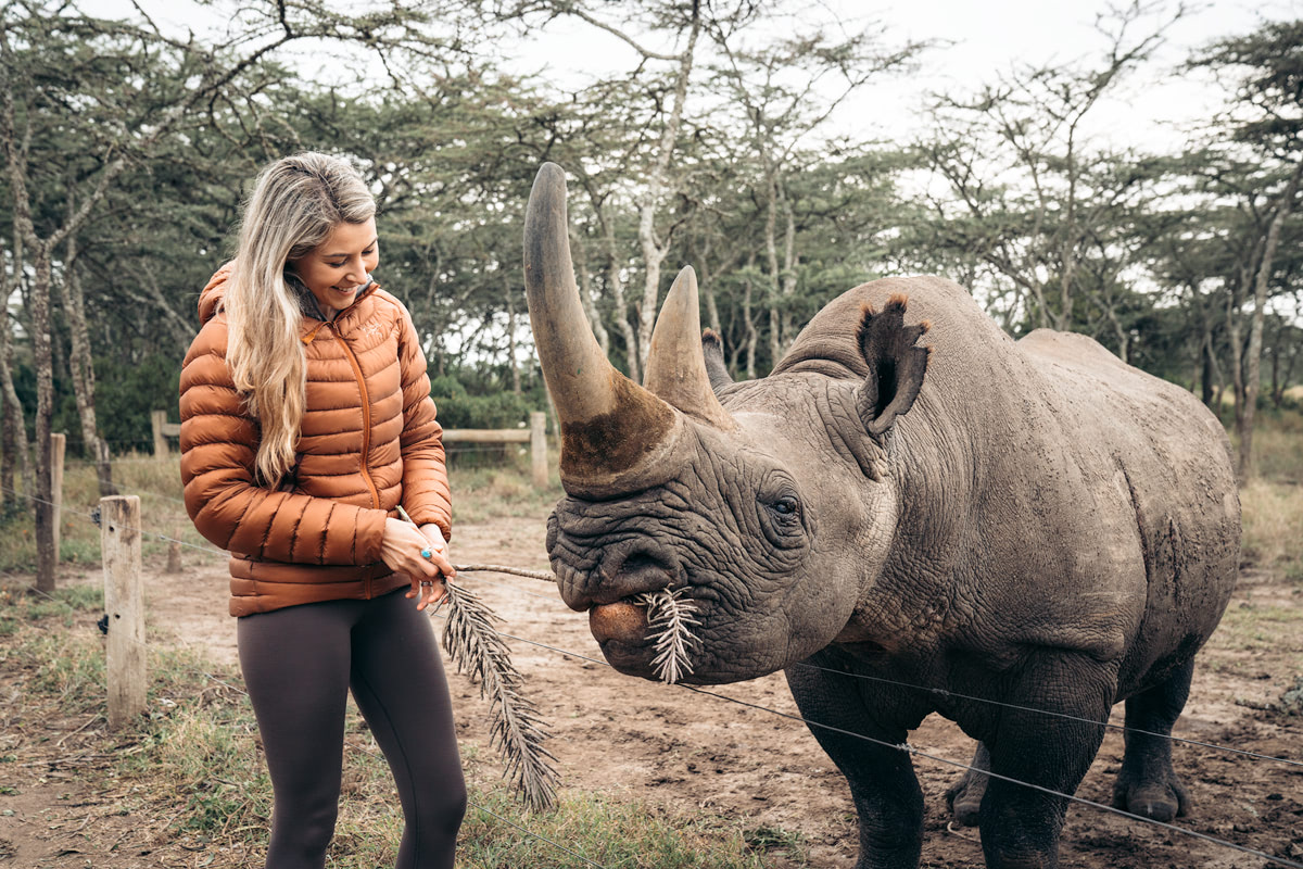 Baraka Blind Rhino of Ol Pejeta Conservancy