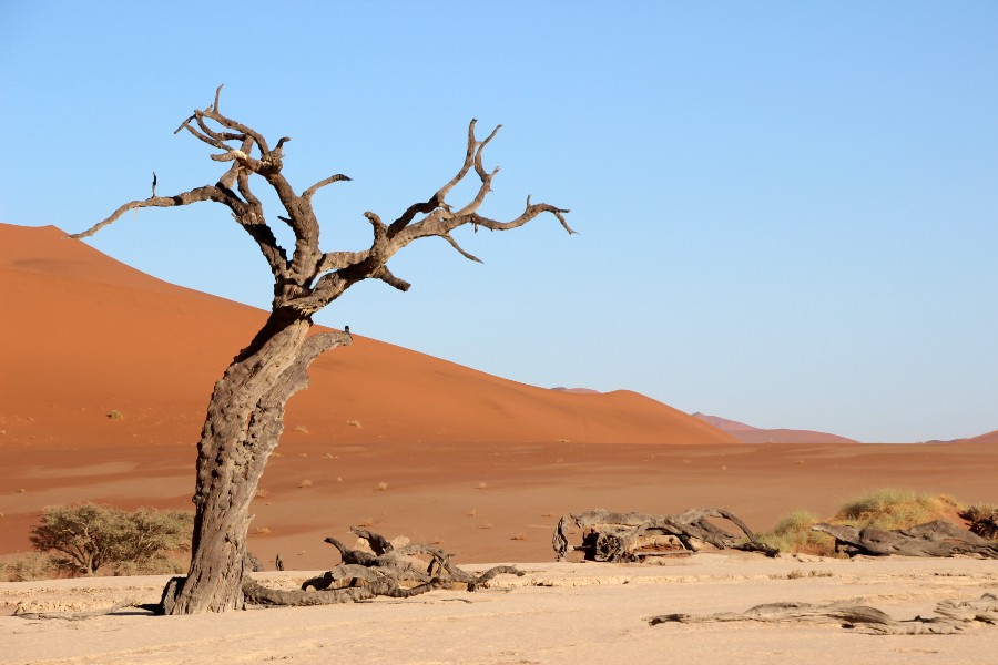 big daddy dune from deadvlei, Namibia