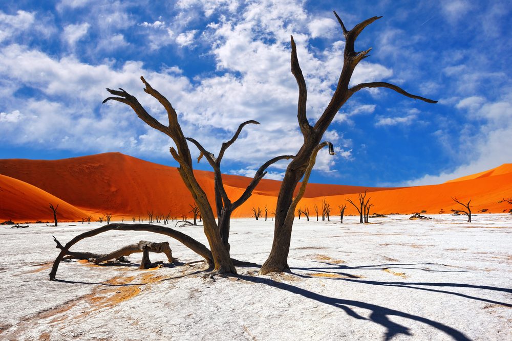 Namib Naukluft National Park, Namibia