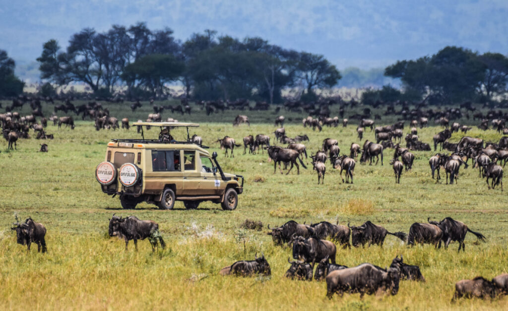 tanzania safari and beach flight package - divulge adventures