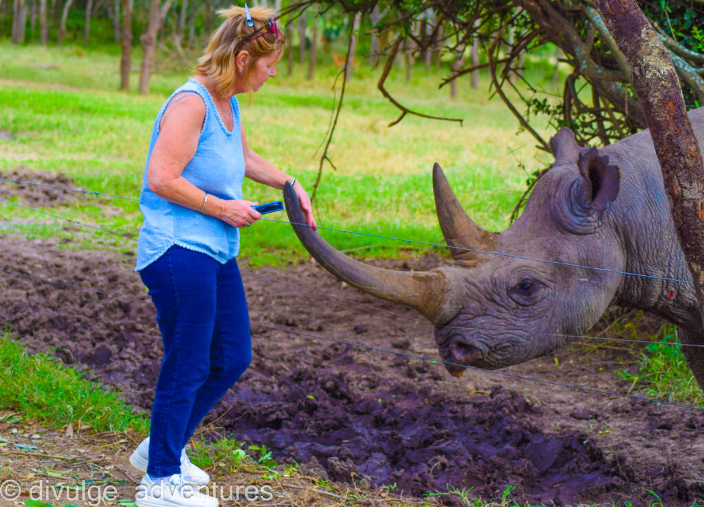 divulge adventures safari in olpejeta conservancy