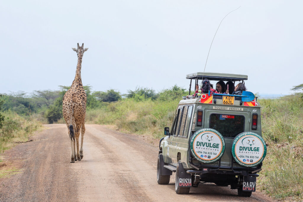 divulge adventures safari - nairobi national park