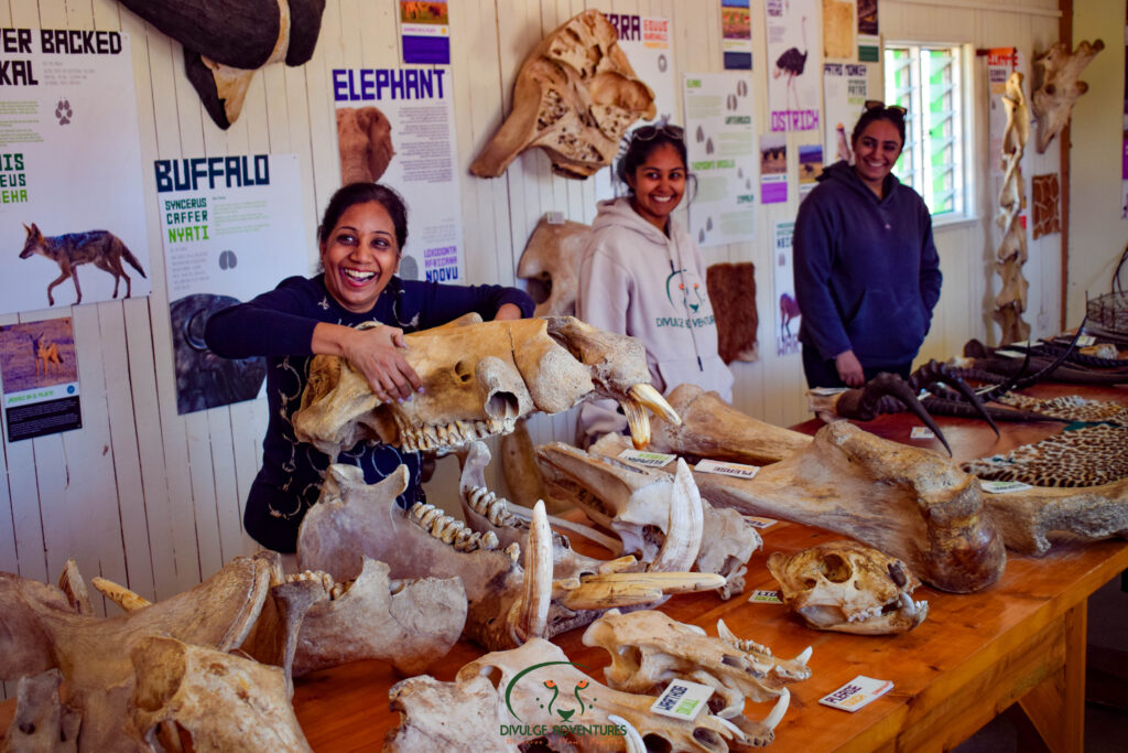 divulge adventures at moran information centre ol pejeta