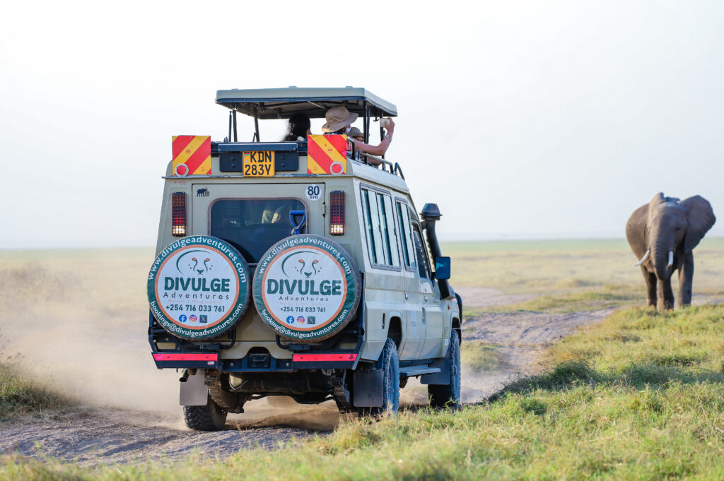 divulge adventures ambseli safari