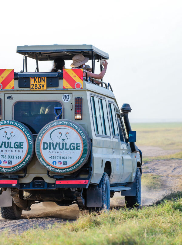 divulge adventures ambseli safari