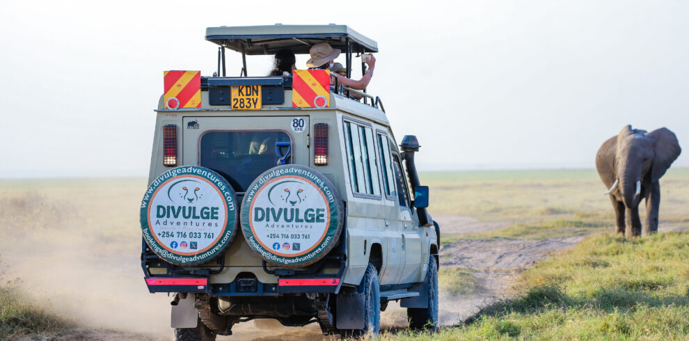 kenya and tanzania safari divulge adventures ambseli safari