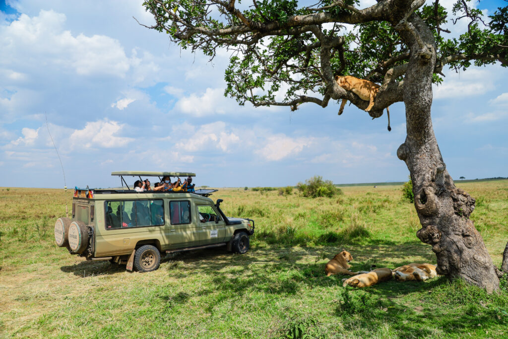 divulge adventures masai mara safari