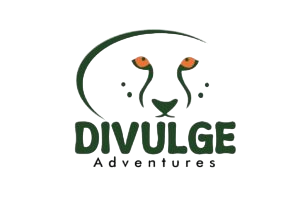 divulge adventures logo