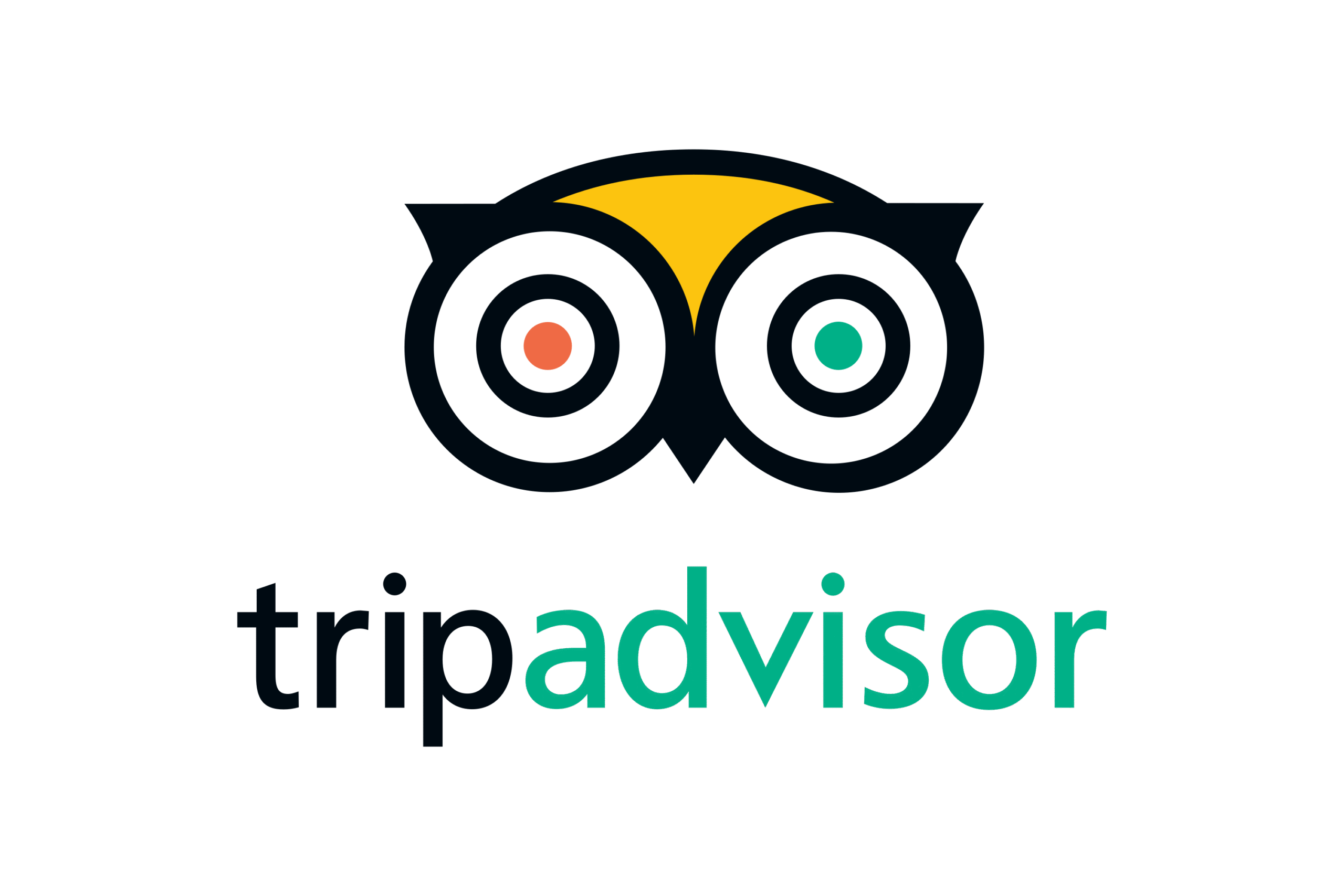 divulge adventures trip advisor