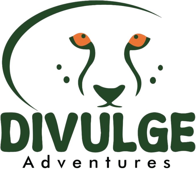 divulge adventures logo