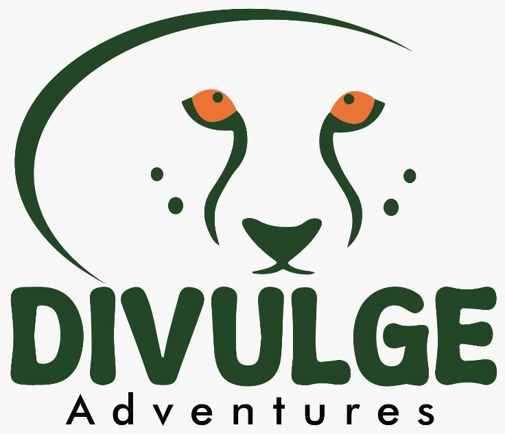 divulge adventures logo