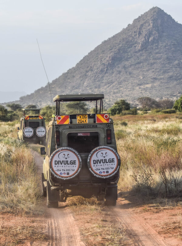 samburu national game reserve - divulge adventures