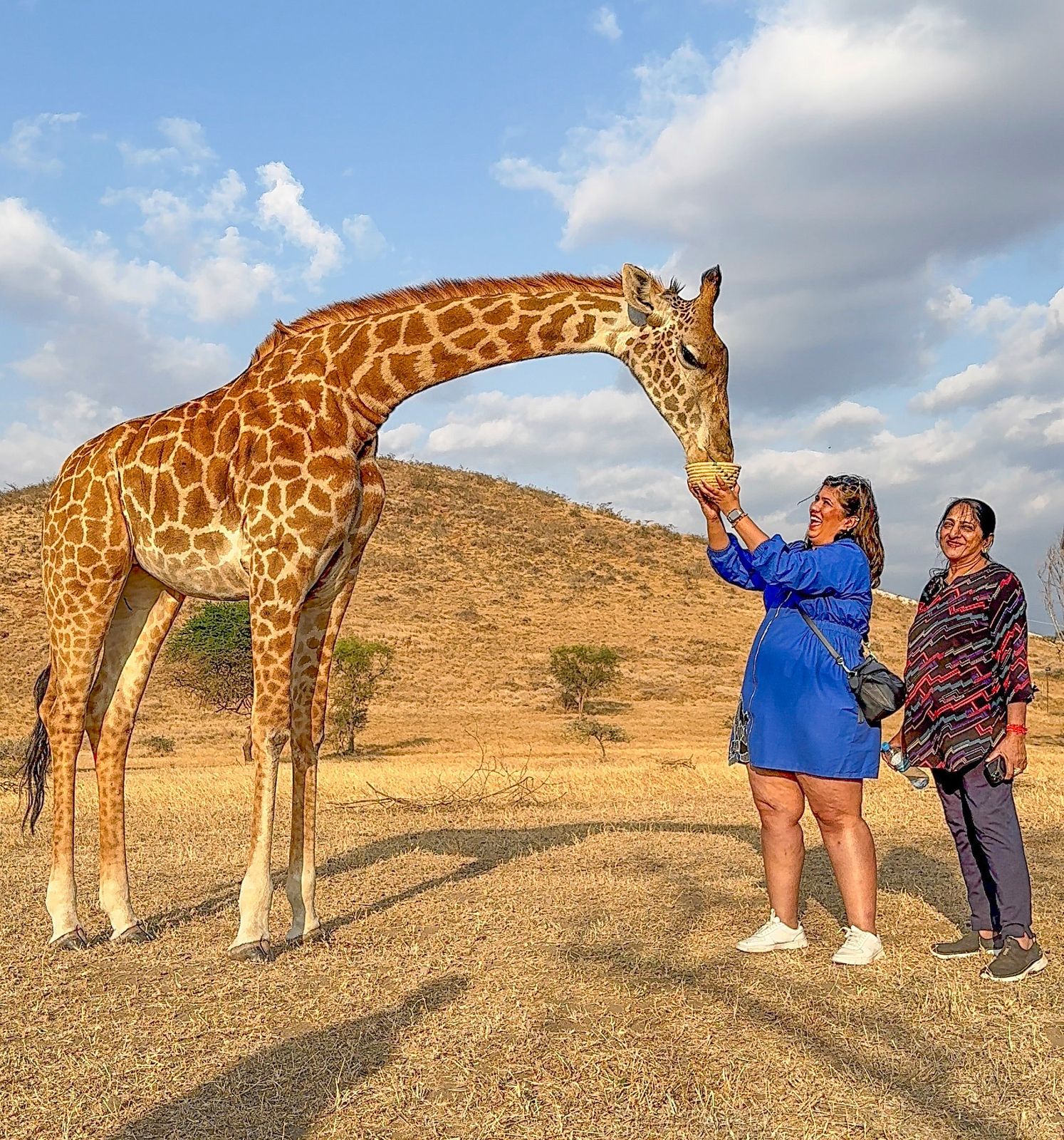 divulge adventures clients at Serval Wildlife