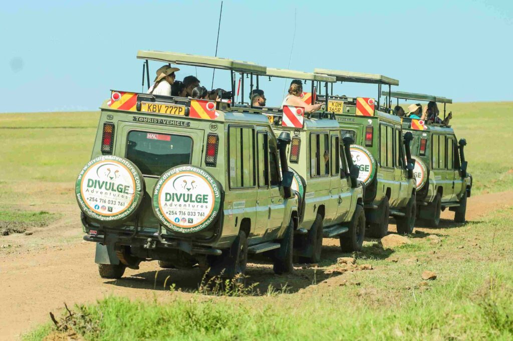 kenya and tanzania safari- divulge adventures