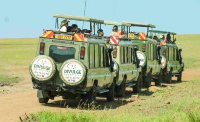 kenya and tanzania safari- divulge adventures
