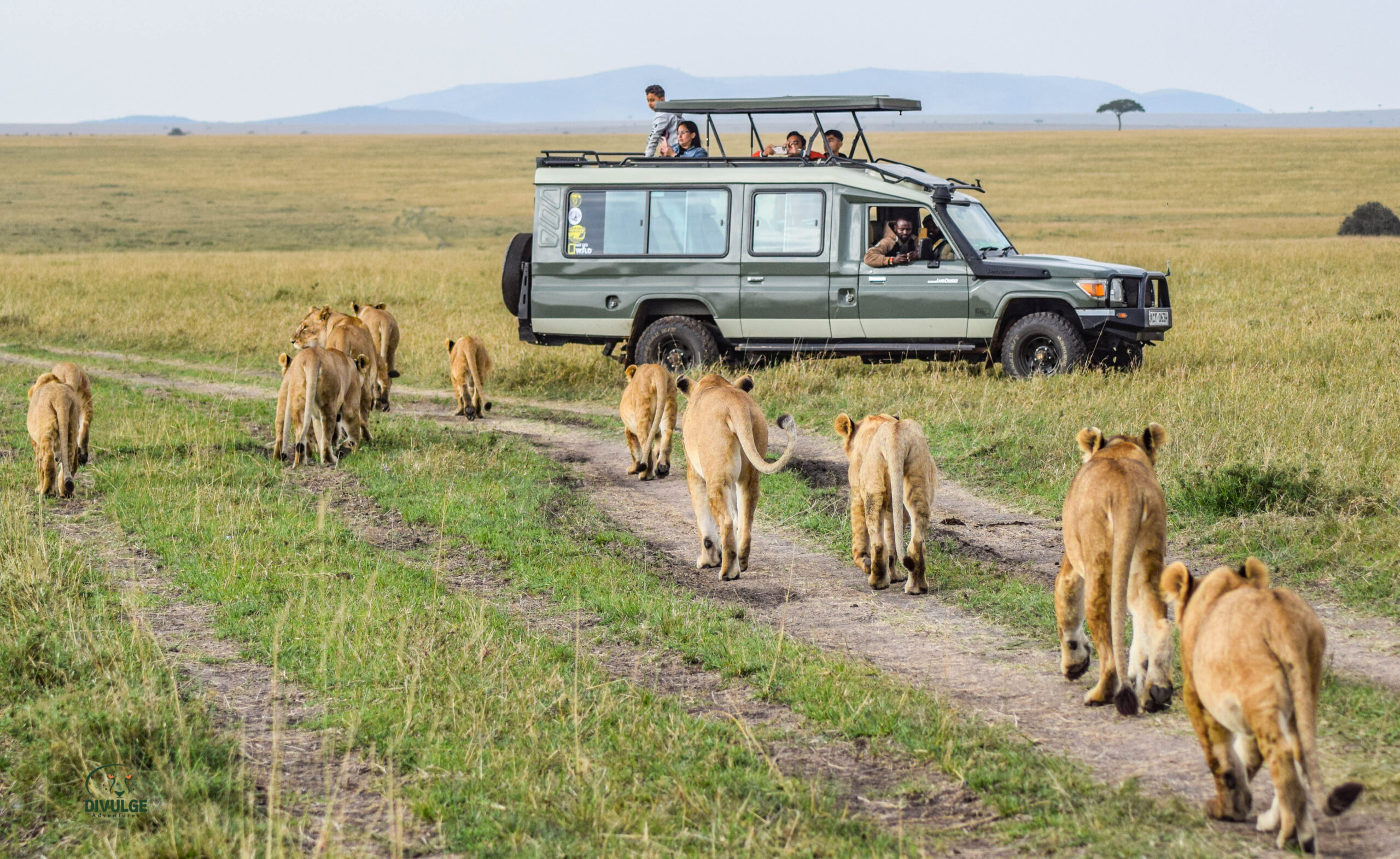 divulge adventures kenya safari