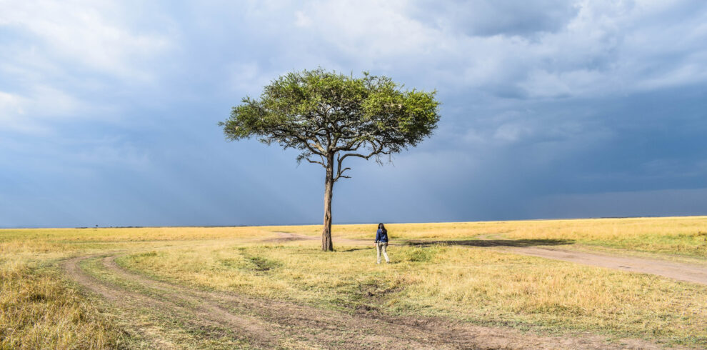 divulge adventures safari pics