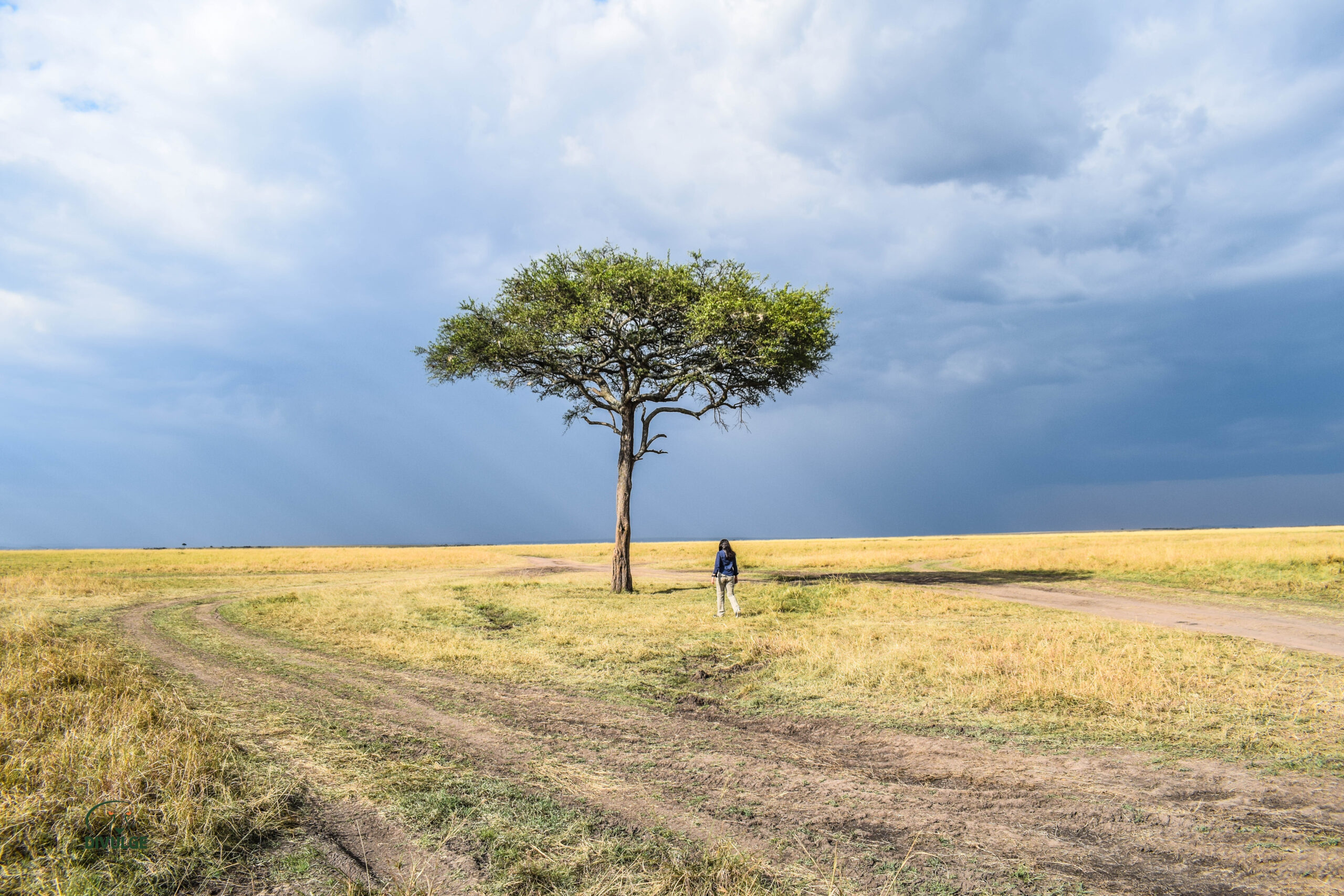 divulge adventures safari pics