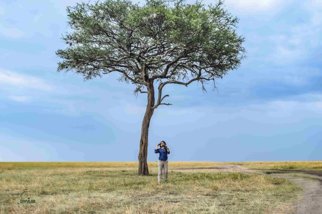 divulge adventures - kenya safari and beach