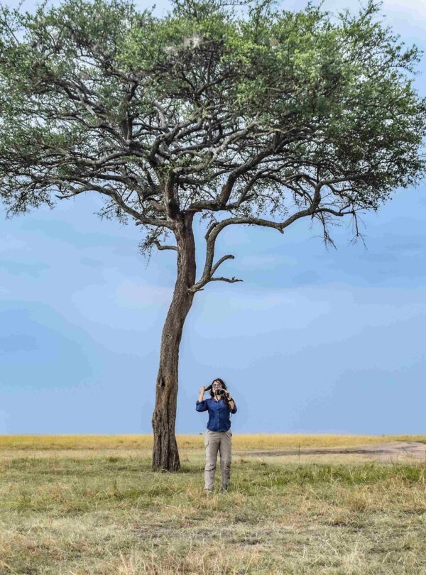 divulge adventures - kenya safari and beach