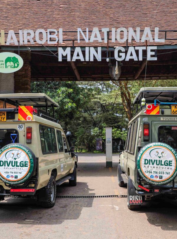 divulge adventures -nairobi national park