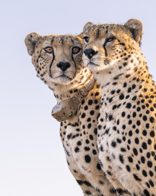 divulge adventures uganda