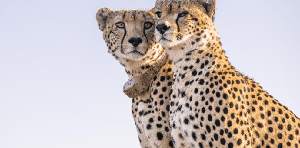 divulge adventures uganda