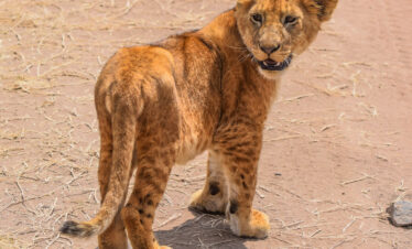 namibia adventure