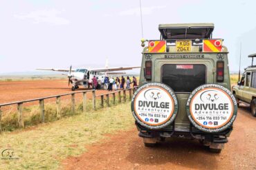 divulge adventures flight package safaris