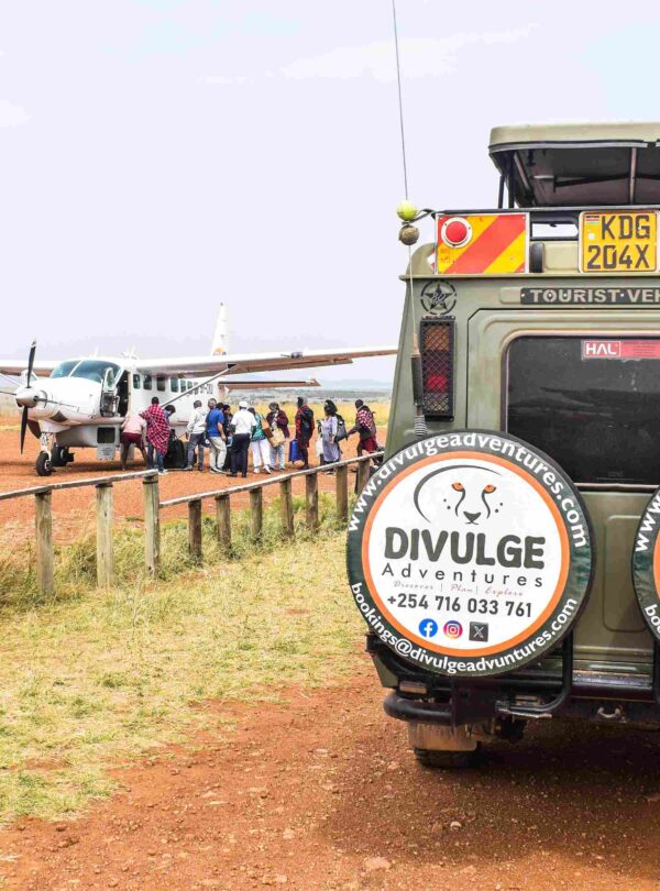 divulge adventures flight package safaris