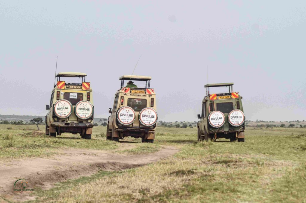 masai mara safari divulge adventures