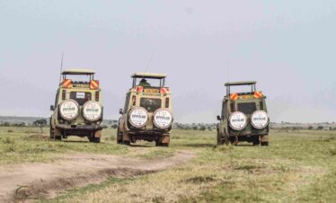 masai mara safari divulge adventures