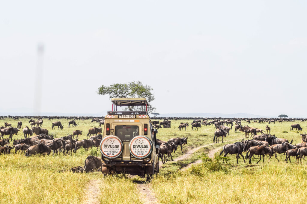 Tanzania & Zanzibar Classic Safari & Beach