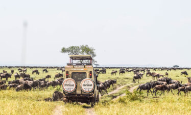 Tanzania & Zanzibar Classic Safari & Beach