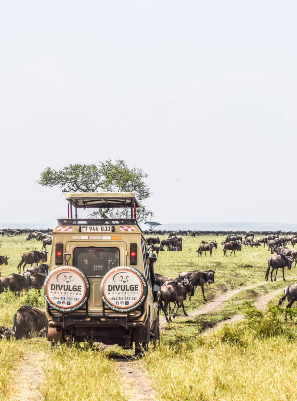 Tanzania & Zanzibar Classic Safari & Beach