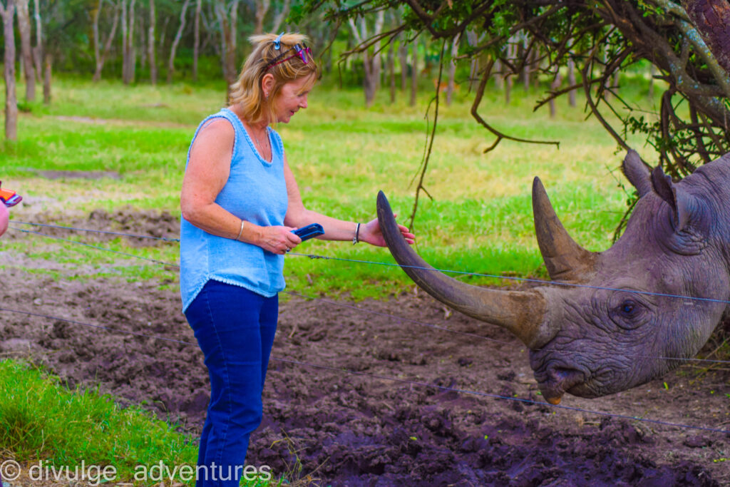 baraka the blind rhino at Ol Pejeta Conservancy