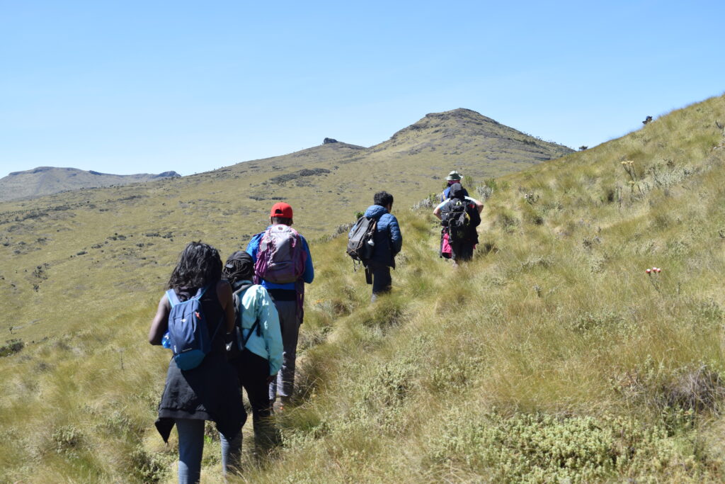 divulge adventures, hiking and safari combo