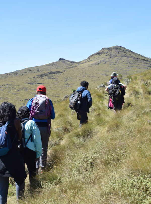 divulge adventures, hiking and safari combo