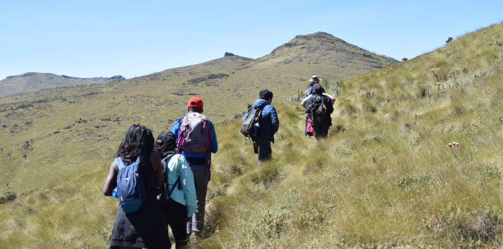 divulge adventures, hiking and safari combo