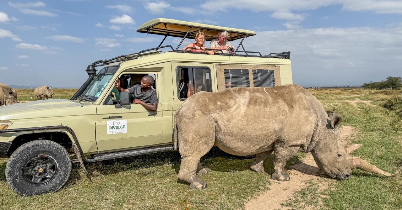 Ol Pejeta Conservancy, Nanyuki, Laikipia County