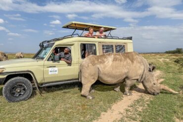 Divulge Adventures Olpejeta Conservancy