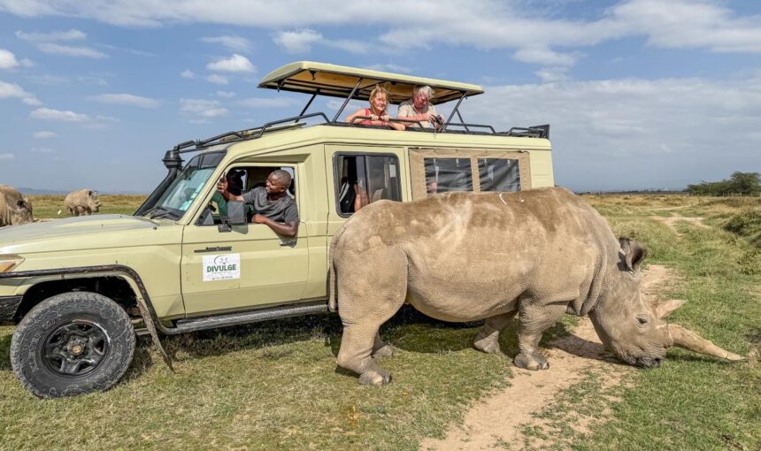Ol Pejeta Conservancy, Nanyuki, Laikipia County
