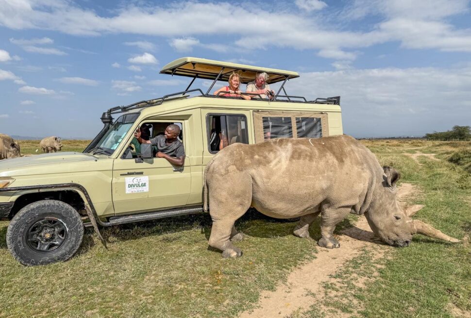 Divulge Adventures Olpejeta Conservancy
