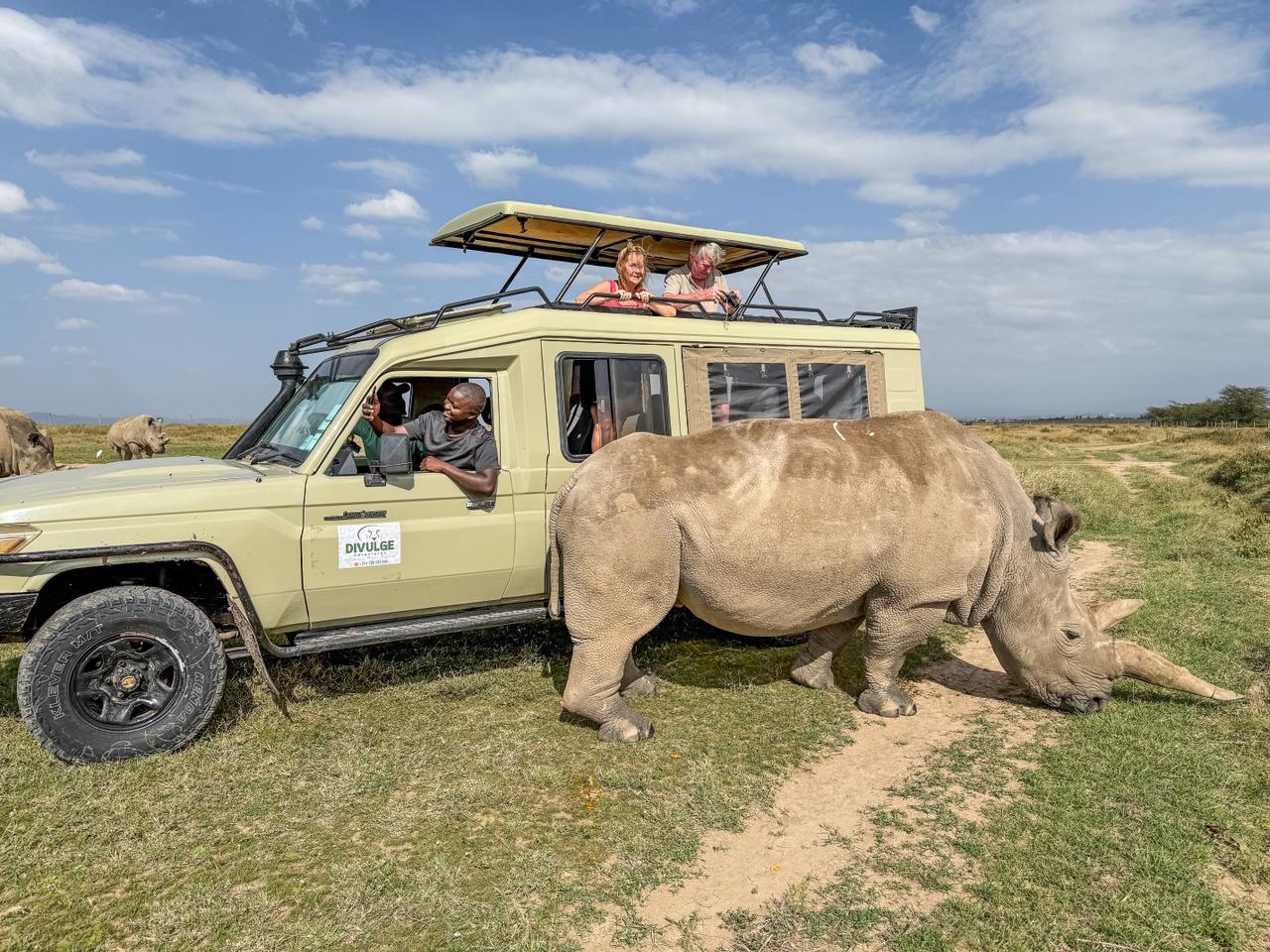 Divulge Adventures Olpejeta Conservancy