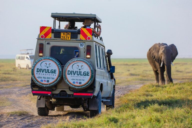 Amboseli National Park safari
