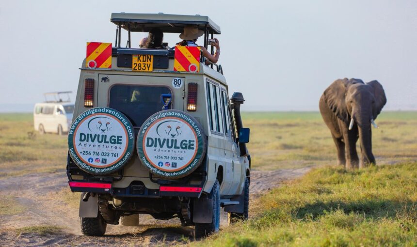 Why Every Safari Should Include Amboseli National Park?