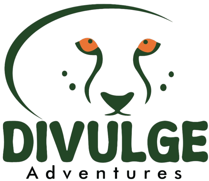 divulge adventures logo