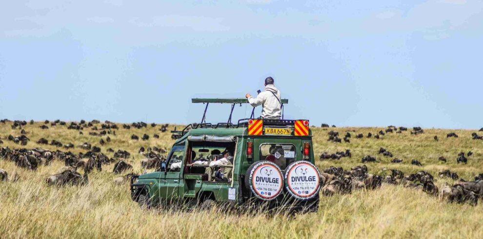 divulge adventures safari